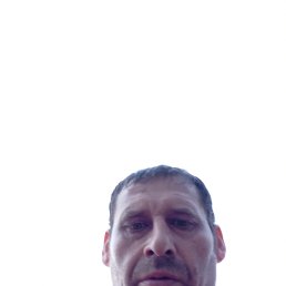 , 43, 