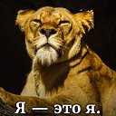 ���� E������, �����, 50 ��� - ��������� 24 ��� 2026