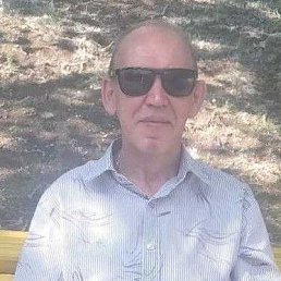 , 58 , 