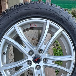 ���� �������, ���������, 64 ���� - ��������� 21 ������ 2024