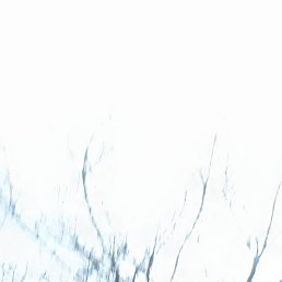 , , 58 