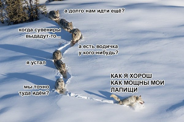 8 июня москвичей приглашают на фестиваль ходьбы и бега «10 000 шагов».Все желающие могут пройти 10 ...