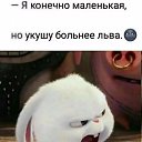 ���� �����, �����������, 56 ��� - ��������� 17 ������� 2026