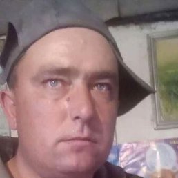 , 41 , 