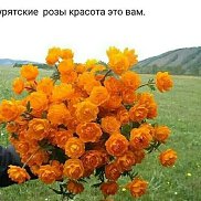 ����, 25 ���, ���������