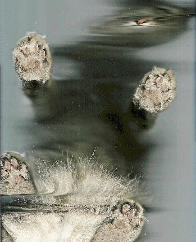      - 3