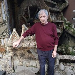 , 67, 
