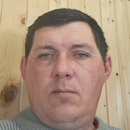 ������, ���������, 40 ���