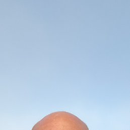 , 52 , 