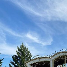 �����, ��������, 19 ���