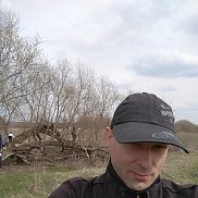 , 43 , 
