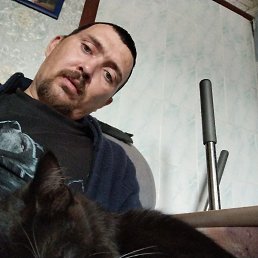 , 38, 