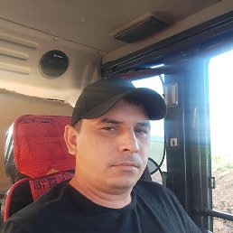 �����, 35 ���, ����