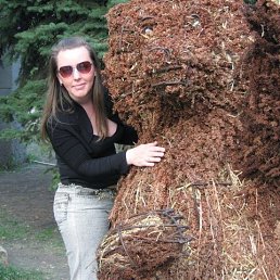 ���� �����, ���� - ��������� 27 ������ 2026