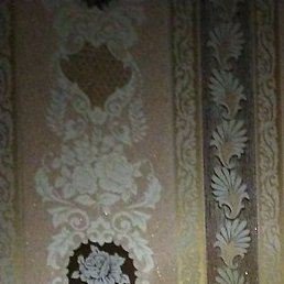 �������, ������ ��������, 43 ����