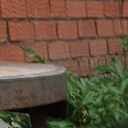 , 42 , 