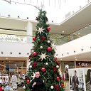 23.12.25 �� ������� ���� ����������