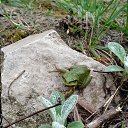 ���� ������, ���� - ��������� 16 ��� 2025 � ������ ��������� �����.....�