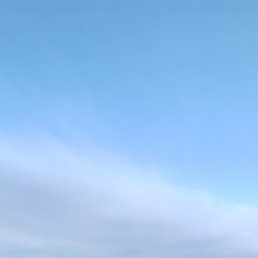 ��������, ����, 51 ���