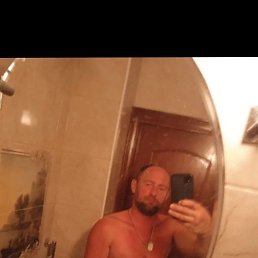 ���� ���������, ��������, 44 ���� - ��������� 4 ������ 2026