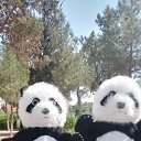 ���� Alik, ������, 34 ���� - ��������� 1 ������ 2023 � ������ ���� ����������