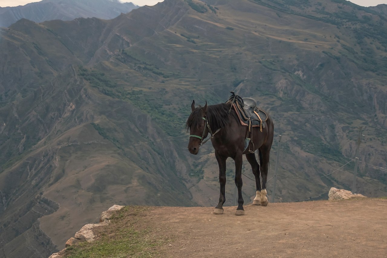 aeca: pa op  ee... ep 2025. - 4