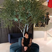 ������, 44 ����, �������