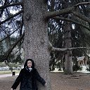 ���� ��������, ���������, 66 ��� - ��������� 9 ����� 2026