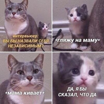    - 24  2024  06:39