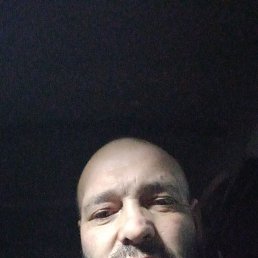 , 42, 
