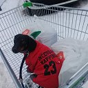  s🐾,  -  16  2024    