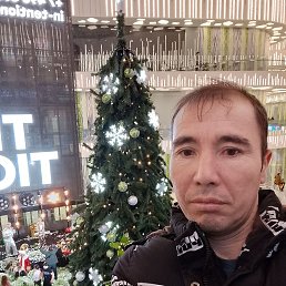 ���� ���������, ������, 42 ���� - ��������� 14 ����� 2026