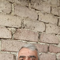 robert, 61, 