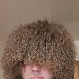 , 34, 