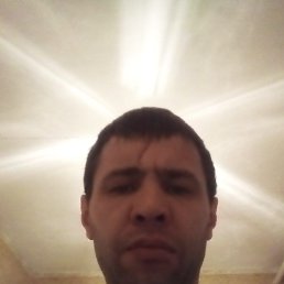 ����, 44 ����, �����������