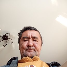 , 51 , 