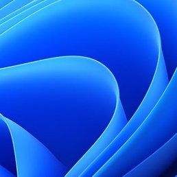 Naia, �������, 41 ���