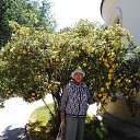  , , 74  -  23  2025     , 2025