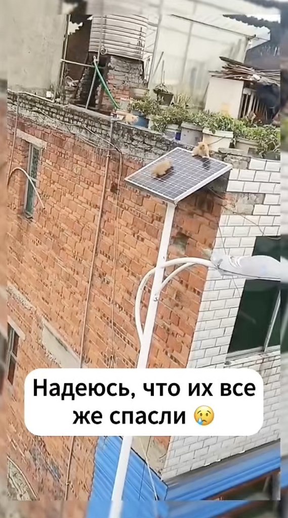    .
