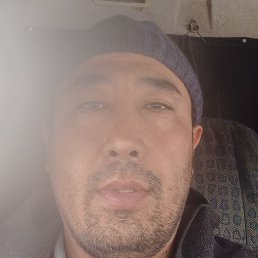 �����, ������, 43 ����