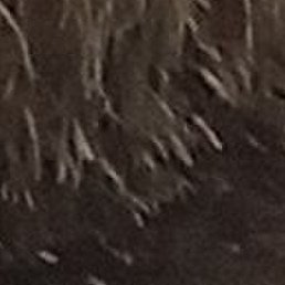 ���������, �����������, 47 ���