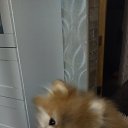 ���� �����, ������ ��������, 60 ��� - ��������� 29 ������ 2023 � ������ ���� ����������