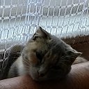 ���� ������, �������, 30 ��� - ��������� 9 ������� 2025 � ������ ���� ����������