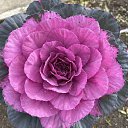 ���� ����, ���������� - ��������� 29 ������� 2023 � ������ ���� ����������