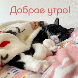 ���� �������, ������, 25 ��� - ��������� 22 ������ 2024