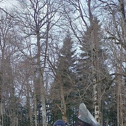 ������, �����������, 51 ���