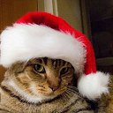 ���� ������, ���������, 64 ���� - ��������� 31 ������� 2023 � ������ ������ ��������