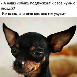 , , 48 