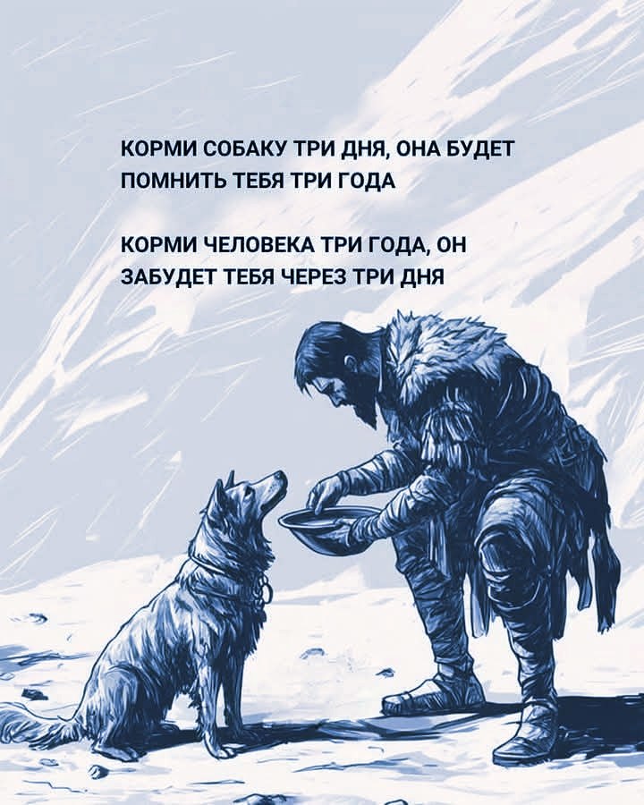   - 16  2025  23:19