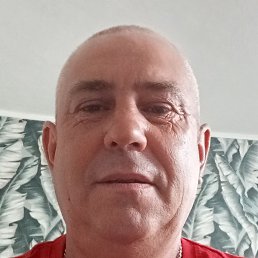 , , 50 